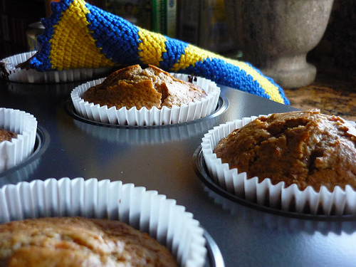 Protein Packed Carrot Muffins