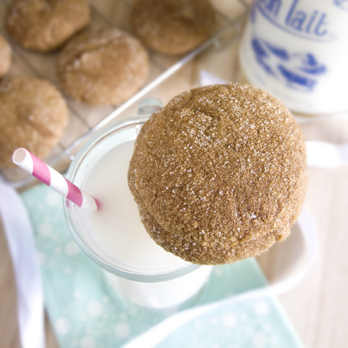 Fat Free Gingerbread Cookies