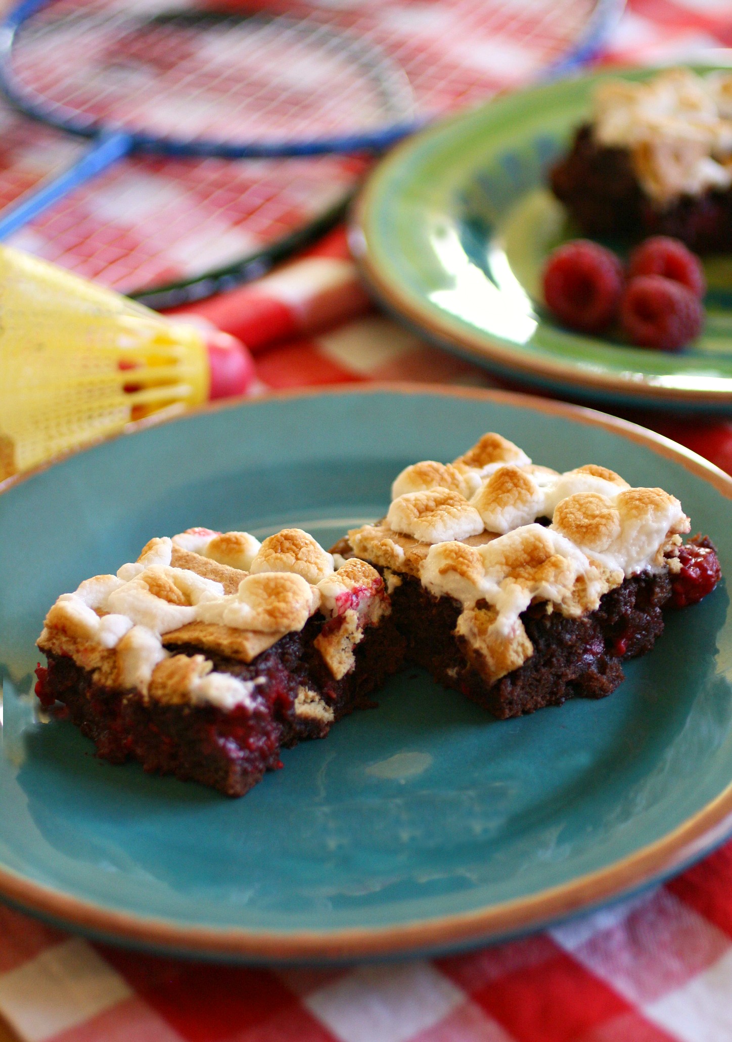 S'mores-n-berry Bars for National S'mores Day - August 10